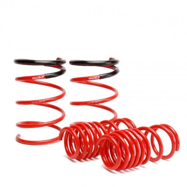 Skunk 2 Racing 2 - 5 Civic Lowering Springs 519-05-1575